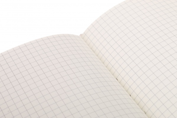 Книга для записей Hedgehog с силиконовым помпоном А5