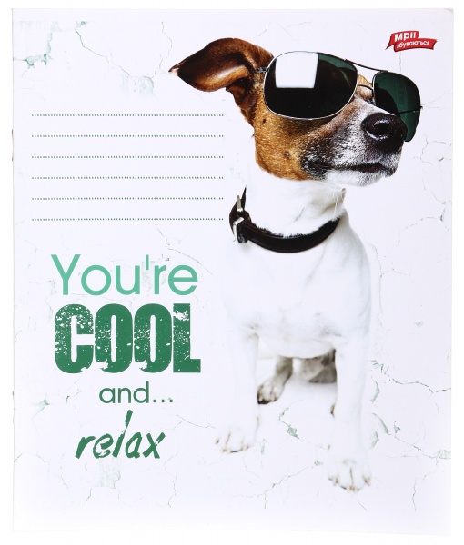 Зошит шкільний уф-лак 12 аркушів у лінійку в асортименті Мрії збуваються