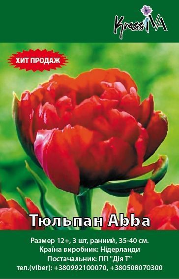 Луковица Тюльпан Abba 3 шт. 