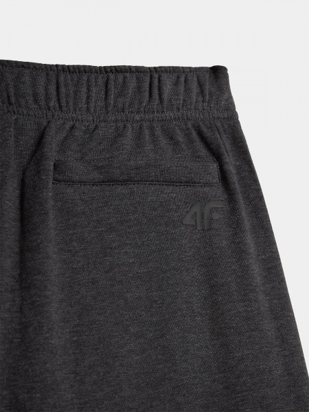 Штани 4F D4Z21-SPMD303-24M р. S сірий меланж