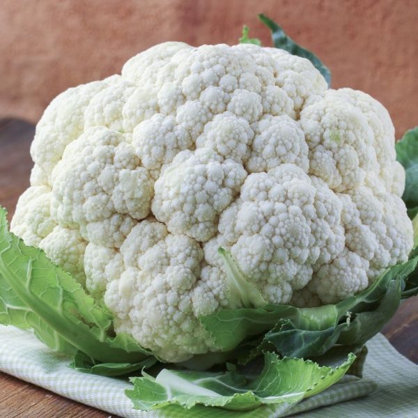 Семена Професійне насіння капуста цветная Бьянка F1 20 шт. (4820176693396)