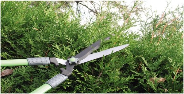 Ножиці для живоплоту MODECO MN-08-131