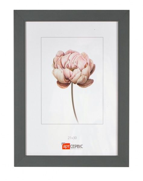 Рамка для фото Арт-Сервіс ЭА-01607 21х30 см графит 