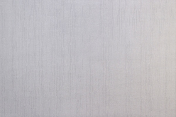 Шпалери вінілові на флізеліновій основі Vinil Круги ДХН 1491/2 1,06x10,05 м 