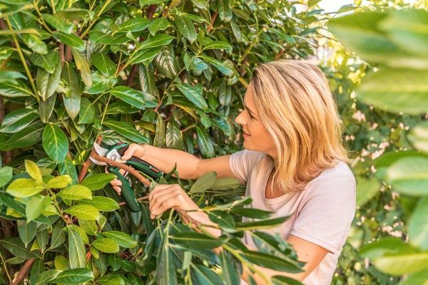 Секатор Bosch акумуляторний EasyPrune 06008B2000