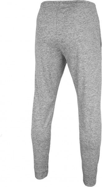 Штани 4F NOSH4-SPMTR001-24M р. XL сірий