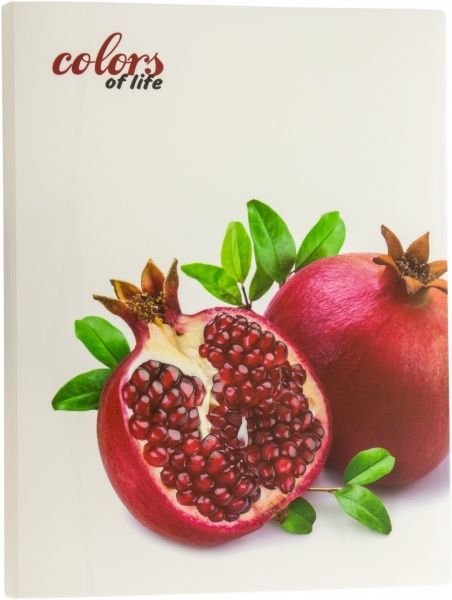 Папка Colors of Life А4 Skiper