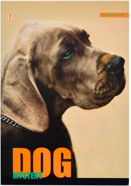 Книга для нотаток А5 60 YES