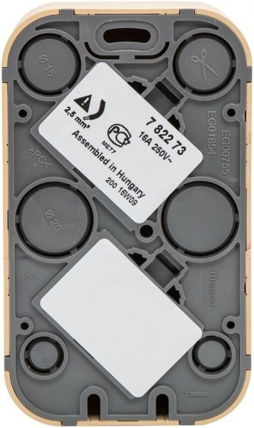 Розетка подвійна із заземленням Legrand Quteo 2X2К+З без шторок дерево світле 782273