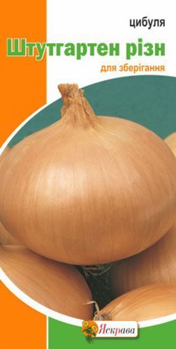 Семена Яскрава лук репчатый Штудгартен Ризн 1г