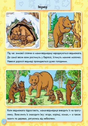 Книга-развивайка «Книжка. Энциклопедия в картинках: Животные леса» 978-966-746-381-6