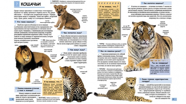 Книга «Иллюстрированная детская энциклопедия в вопросах и ответах» 978-966-947-369-1