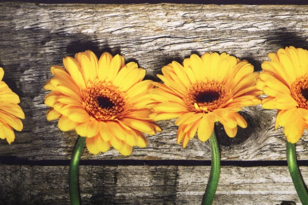 Коврик New Way Velvet DD-35 45x75