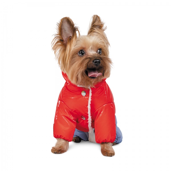 Костюм Pet Fashion PRETTY PR242261