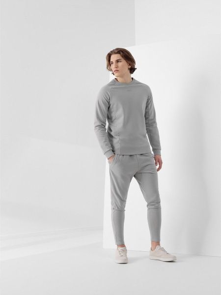 Брюки 4F R4L21-SPMD901-25S р. 2XL серый