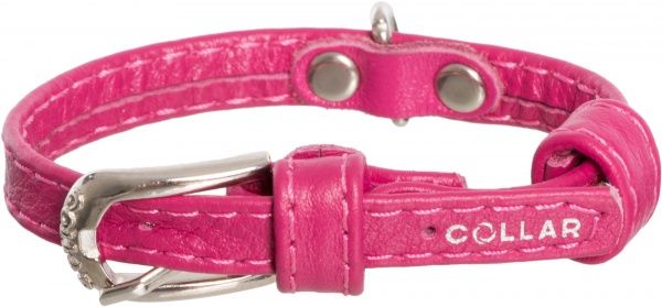 Нашийник WAUDOG Glamour зі стразами Зірка 9 мм 18-25 см 32537