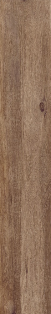 Плитка Allore Group Tahoe Gold F PR R Mat 19,8х120 см