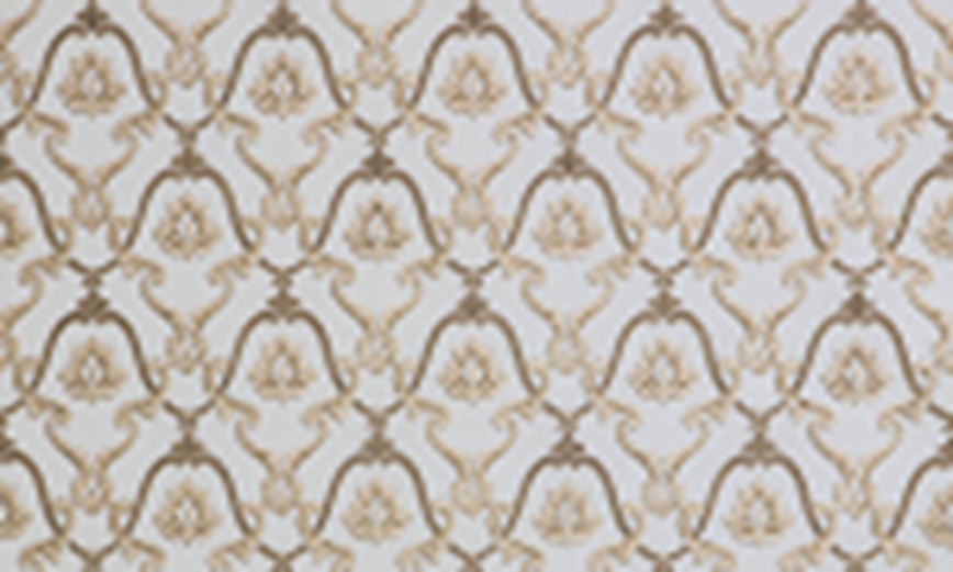 Шпалери вінілові гарячого тиснення ASSORTI 953AS51 1,06x10,05 м