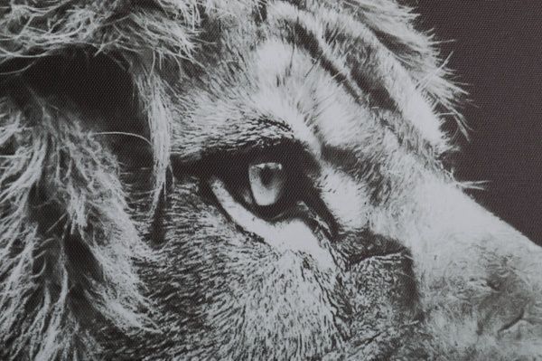 Картина Лев 100x75 см Styler 