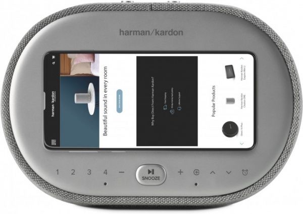 Акустическая система JBL® HKCITAOASISGRYEU grey Harman Kardon Citation Oasis