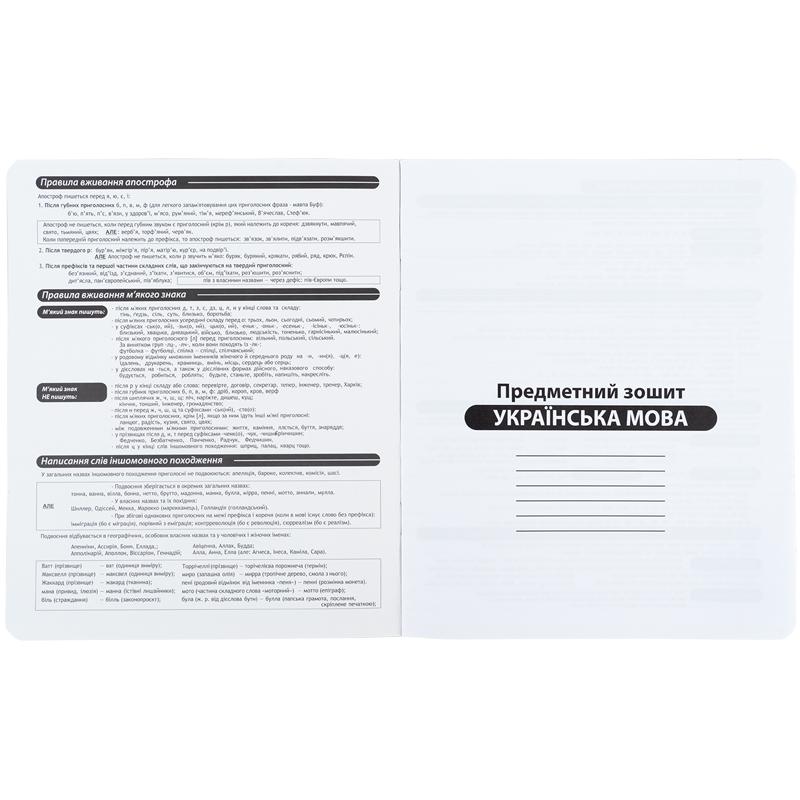 Зошит предметний 24 арк. лінійка Techno українська мова KITE