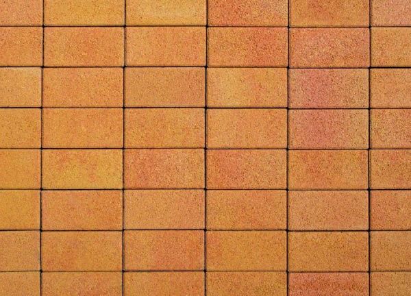 Тротуарная плитка Авеню Брусчатка 20x10x4 см сахара