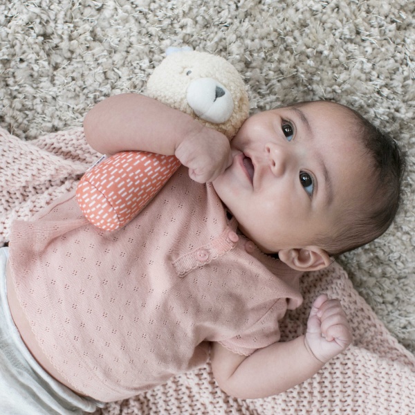 Погремушка Ingenuity Мишка Nate 12370