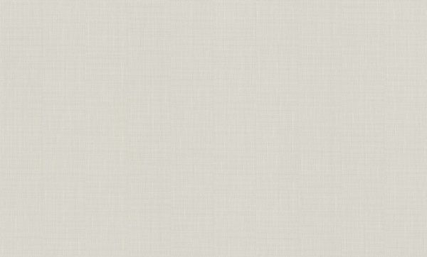 Шпалери вінілові гарячого тиснення RASCH Cuisine 918885 1,06x10,05 м 