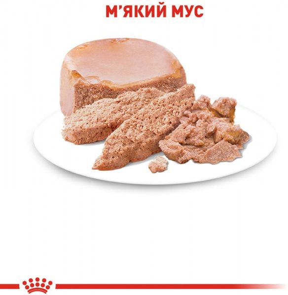 Корм Royal Canin Mother and Babycat 195 г