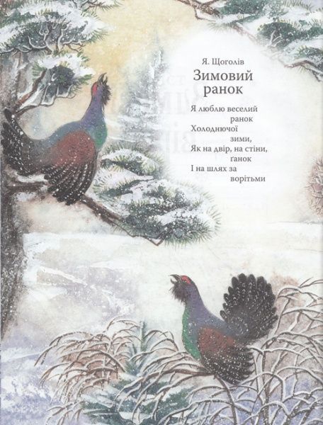 Книга «Книга. Новорічна книга»