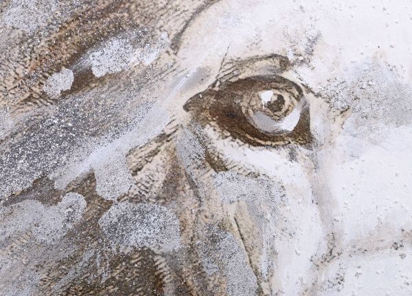 Картина Lion 90x120 см GF 