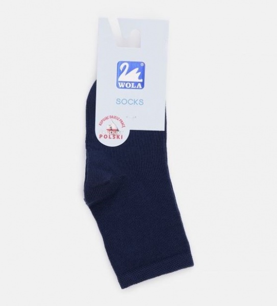 Носки для мальчиков Wola W24.000 0 р. 24-26 синий 