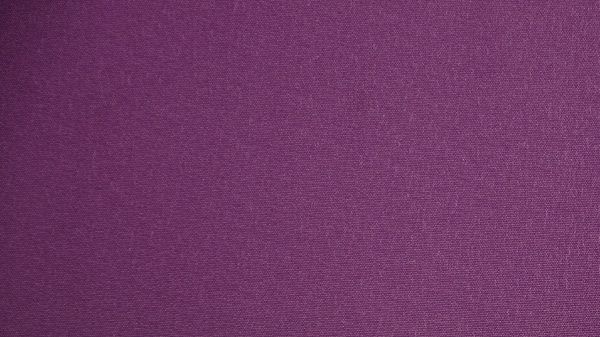 Ролета термо (blackout) Gardinia 50x150 см слива 