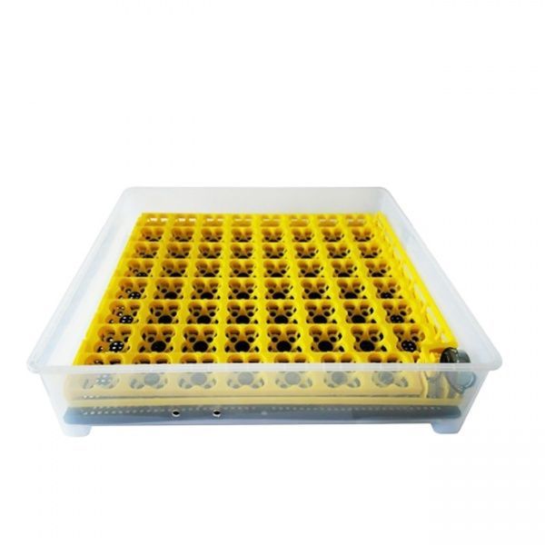 Инкубатор автоматический MS-63/252