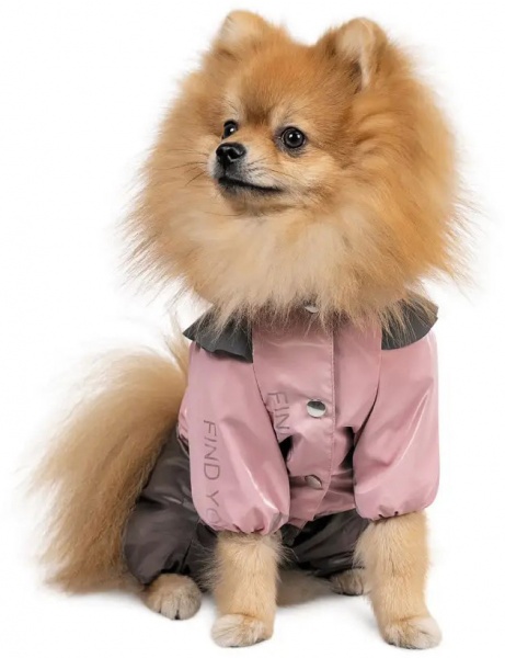 Дождевик Pet Fashion для собак Ariel M PR242988