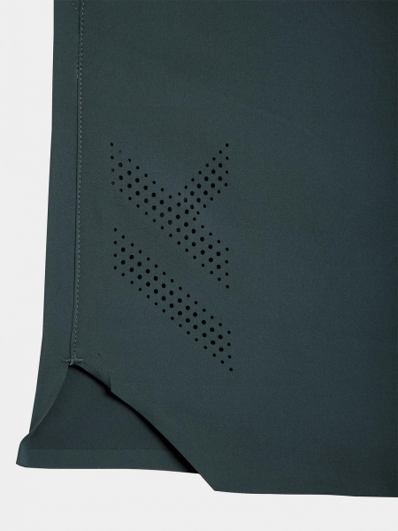 Шорти 4F SHORTS FNK M196 RL9AW22TFSHM196-25S р. S сірий