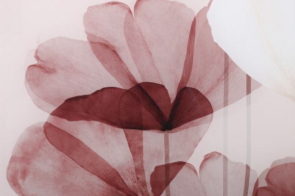 Картина на стекле Розе 50x70 см Styler GL-01823 