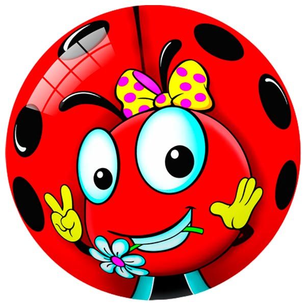 Мяч STAR Божья коровка 23 см 11/2555