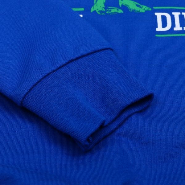 Джемпер Роза 190136 р.116 електрик 