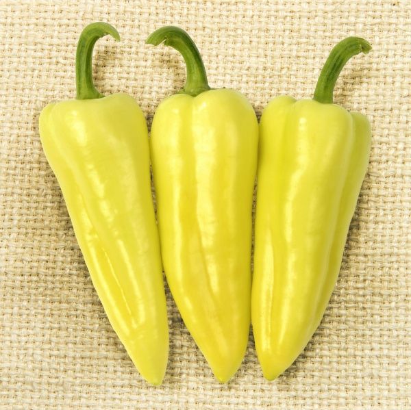 Семена Професійне насіння перец Призма F1 8 шт. (4820176690555)