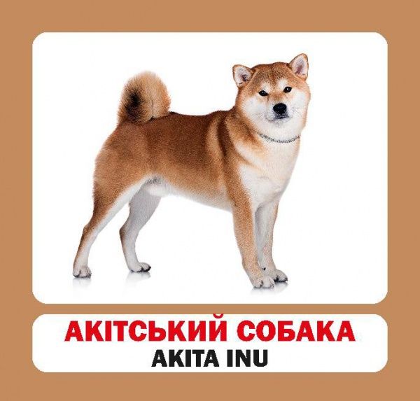 Книга «Навчальний посібник. Собаки . англ-укр»