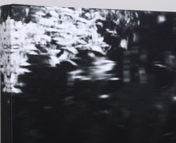 Картина Гепард 100x70 см Styler CA-18499 