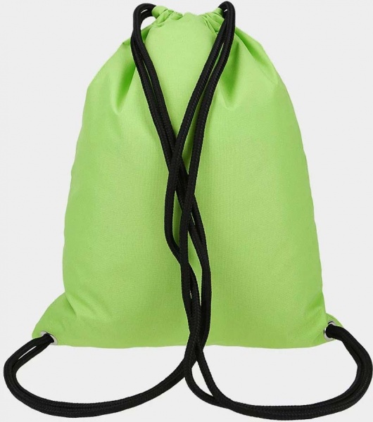 Сумка для обуви 4F 4FJSS22AGYMM006-45S зеленый 