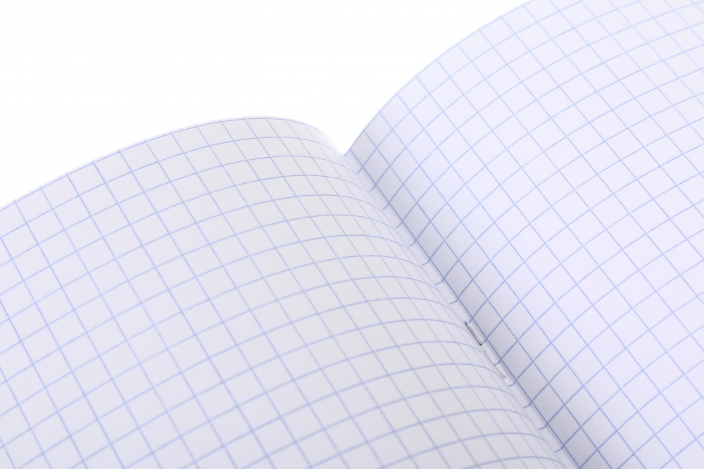 Тетрадь школьная Capybara_25 48 листов в клеточку Nota Bene