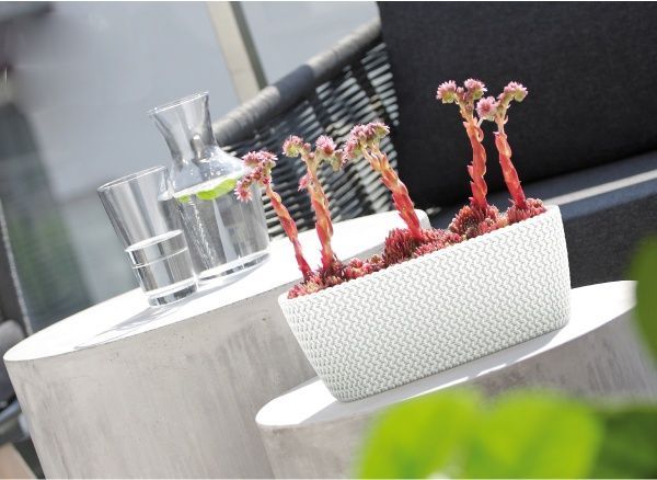 Ящик балконний Prosperplast Splofy Case прямокутний 7,4л білий (26071-449) 