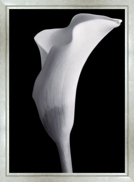 Репродукция 50x40 см SvitArt HEM1101 