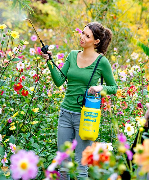 Обприскувач плечовий Gloria Prima 3 л 