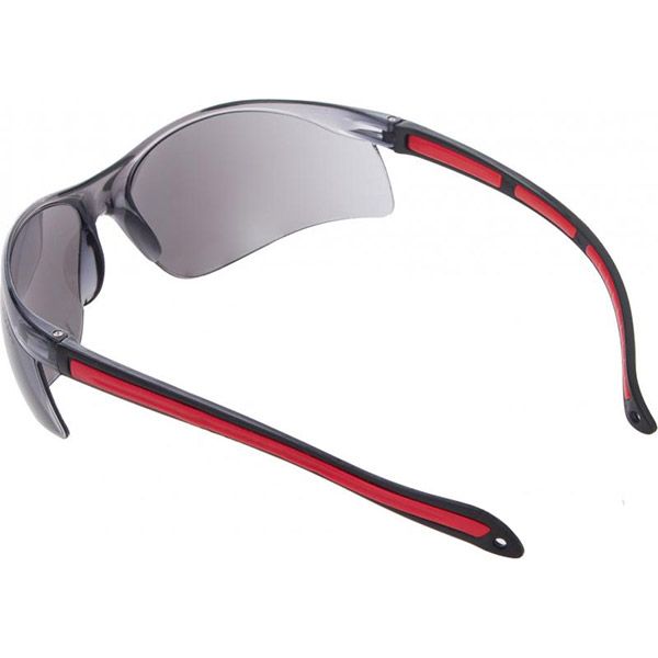 Очки защитные Reis OO-TEKSAS