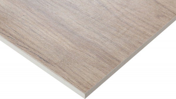 Плитка Allore Group Tavolina Beige F PR R Mat 22,5x90 