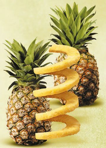 Слайсер для ананаса Professional Plus 13550 Gefu